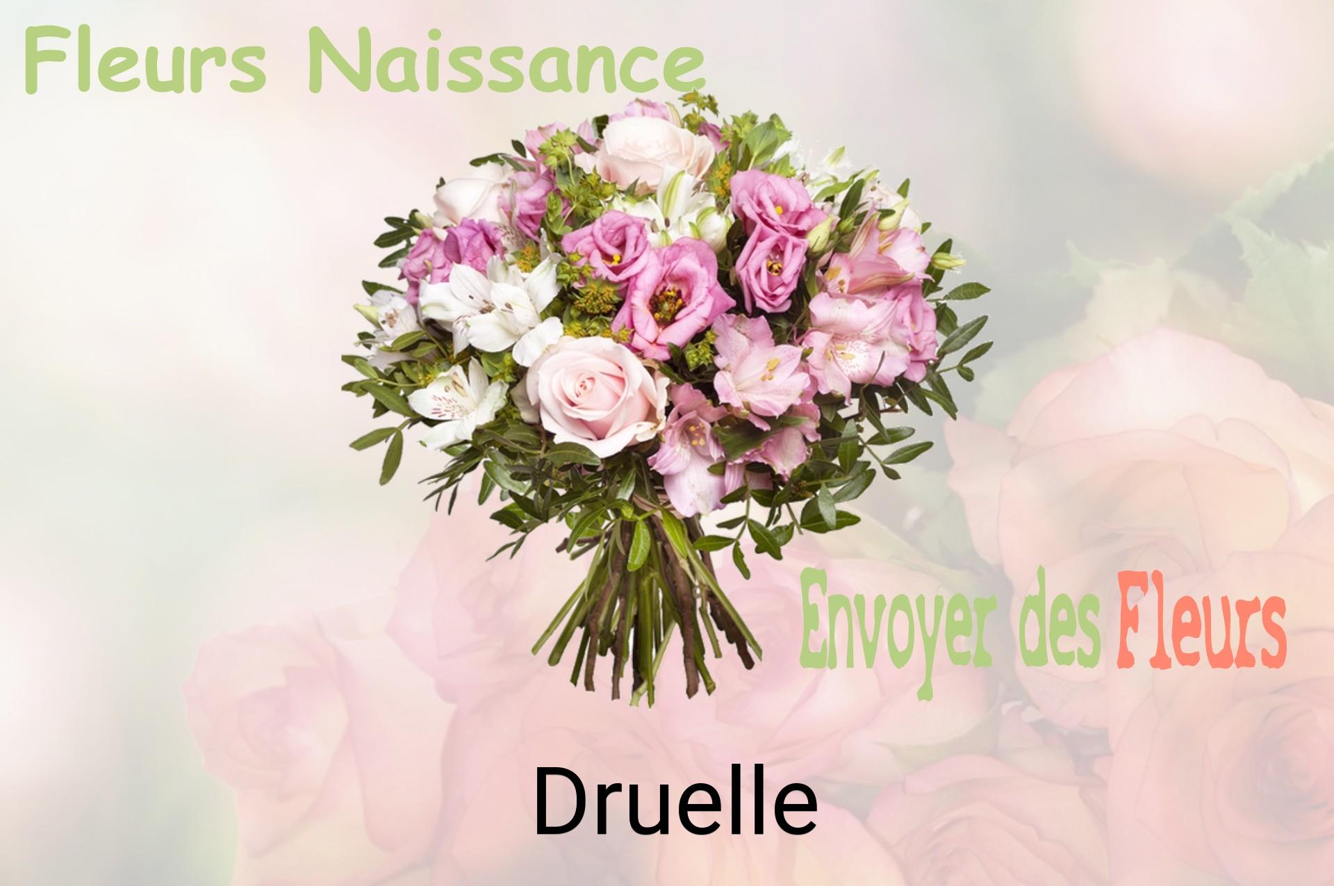 Bouquet de fleurs de naissance livré à Druelle